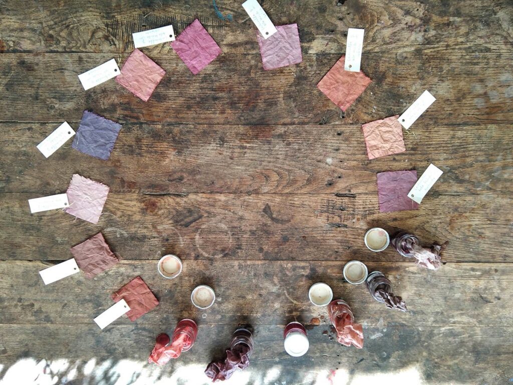 Circle of samples dyed with cochineal