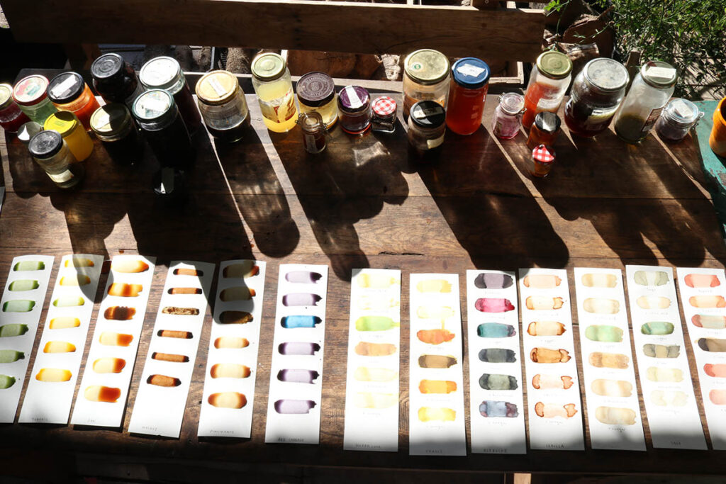 Small bottles of ink made from plants and samples of the colours on strips of paper